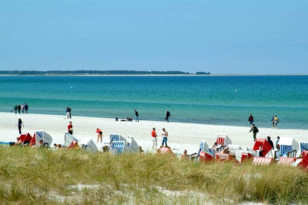 zurück zu Ostseebad Prerow ...