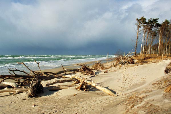 zurück zu Ostseebad Prerow ...